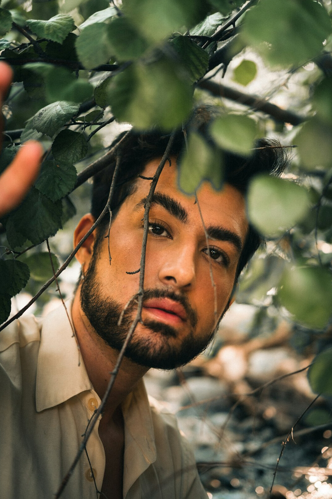 Portrait of a bearded man looking at the camera